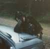 Steve got fed up of hitting the car?