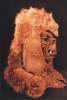 Orc wearing the 'Rutting Ferret' helmet